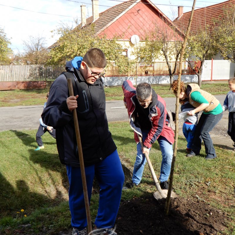 Közösségi faültetés Berettyóújfaluban 56